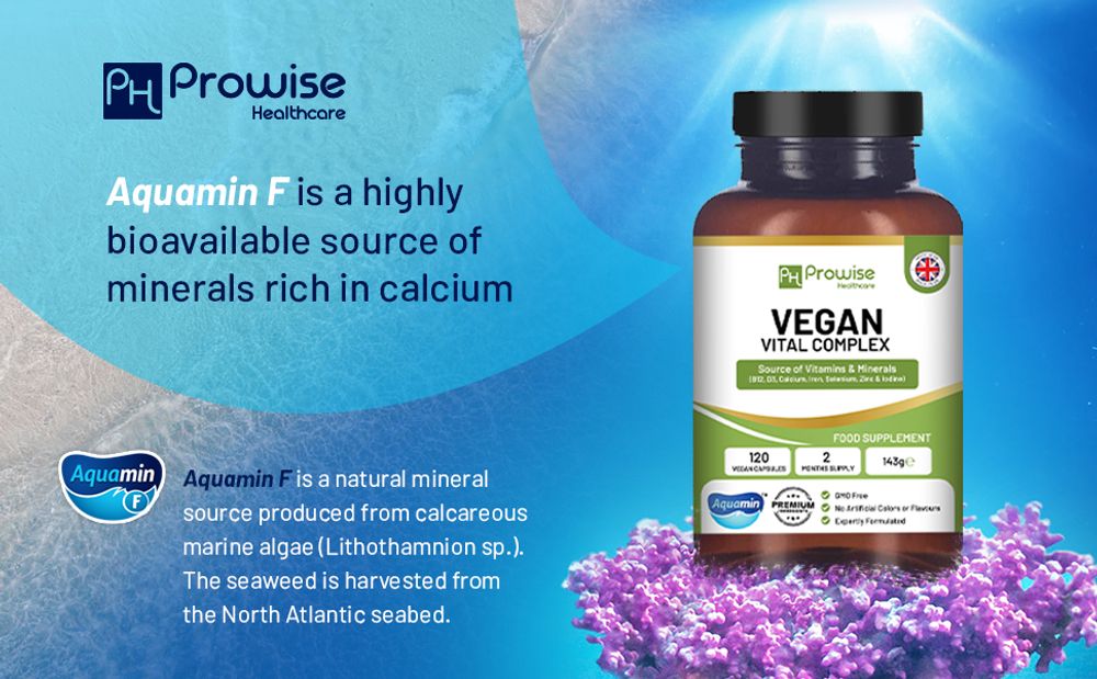 Prowise Vegan Vital Complex - Vitamins and Minerals Formulation to Support a Plant